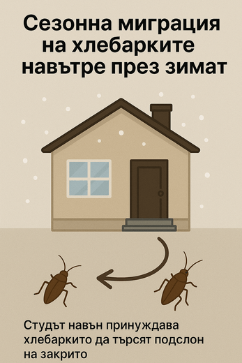 хлебарки в дома